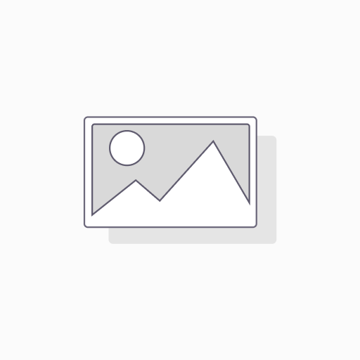 [00000325] REGULADOR DE PRESIÓN FESTO LR-1/2-D-MIDI-MPA
